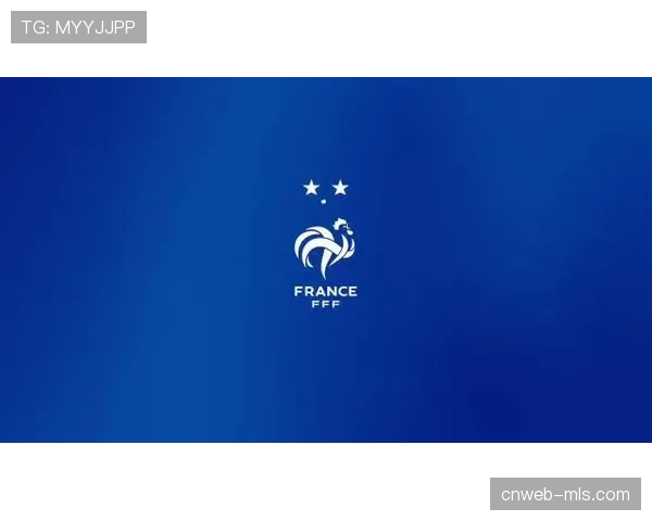 官方：前法国队队长洛里斯受邀加入法国足协，担任技术顾问一职